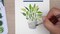 How to Paint a Watercolor Monstera Adansonii image 3